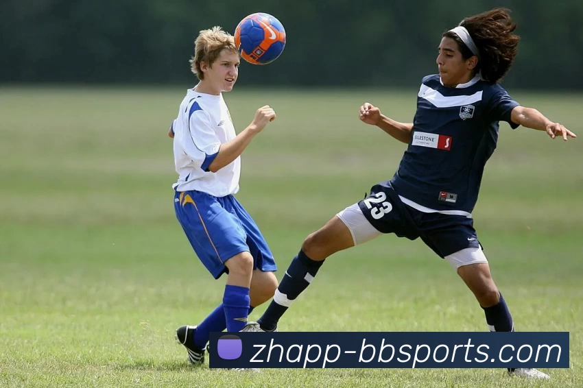 BBSport体育APP下载发展历程